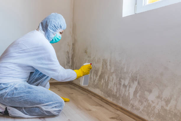 Licensed Mold Testing service in Fredericksburg, VA - Cheap Mold Removal