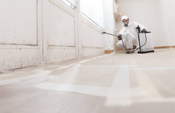24/7 Emergency Mold Testing experts in Fredericksburg, VA