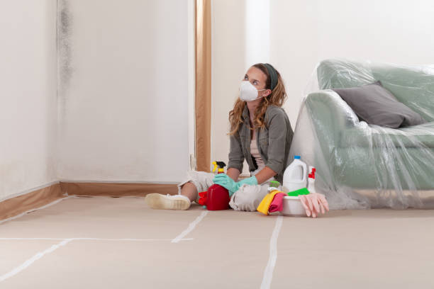 Reliable Mold Cleanup contractor in Fredericksburg, VA by Cheap Mold Removal